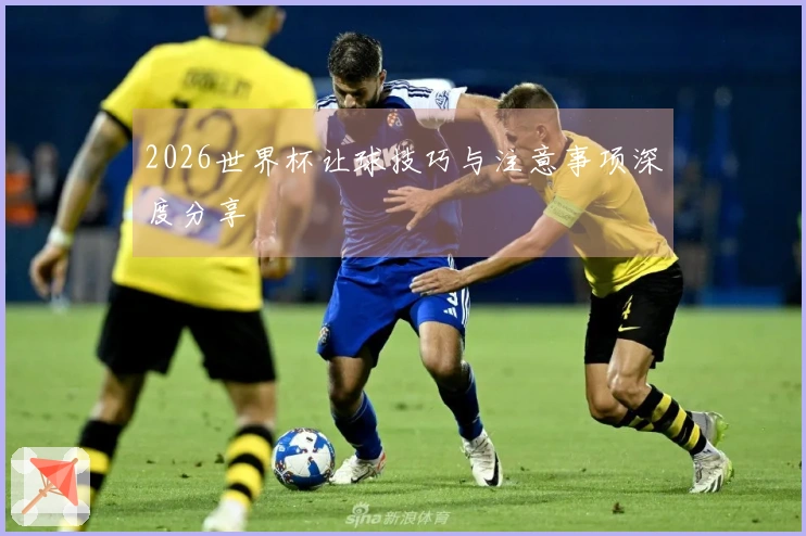 2026世界杯让球技巧与注意事项深度分享