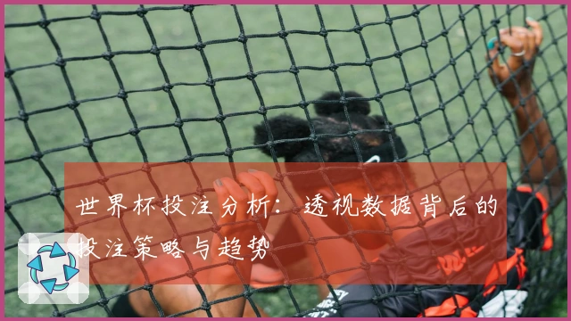 世界杯投注分析：透视数据背后的投注策略与趋势