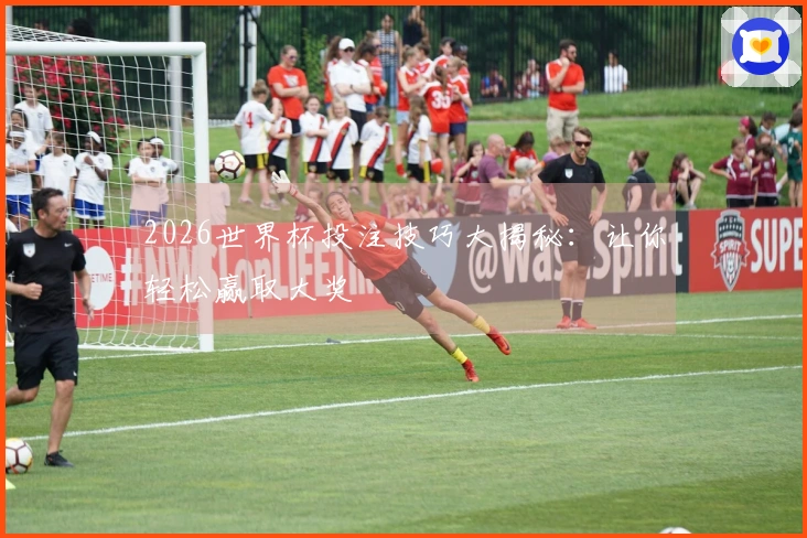 2026世界杯投注技巧大揭秘：让你轻松赢取大奖