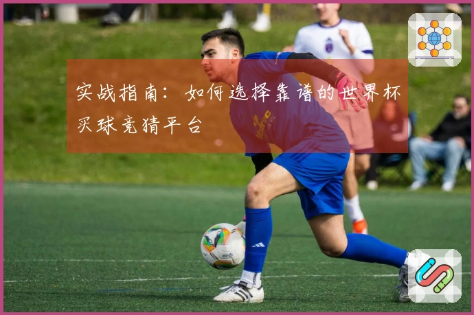 实战指南：如何选择靠谱的世界杯买球竞猜平台