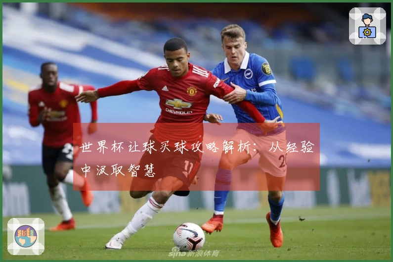 世界杯让球买球攻略解析：从经验中汲取智慧