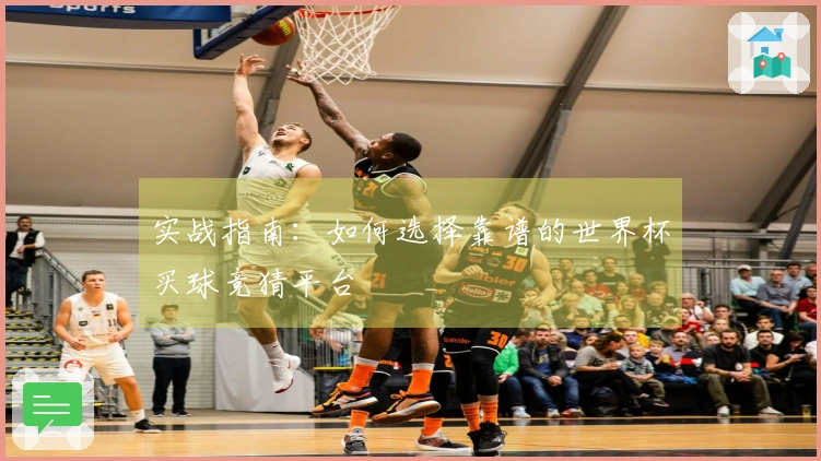 实战指南：如何选择靠谱的世界杯买球竞猜平台