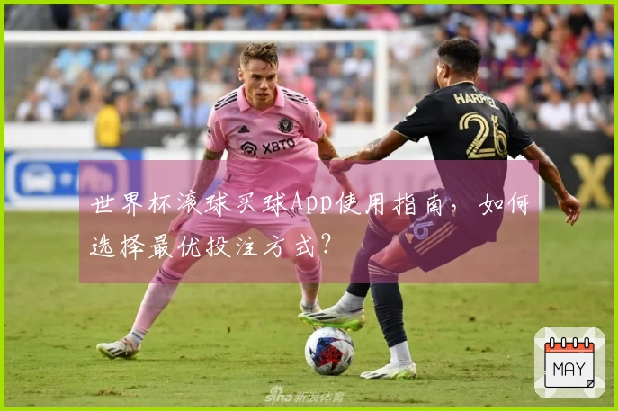 世界杯滚球买球App使用指南，如何选择最优投注方式？